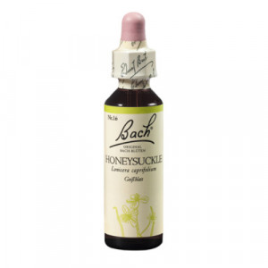 Produktbild von BACHBL&Uuml;TEN Honeysuckle Tropfen